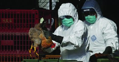 China reports H5N1 bird flu
