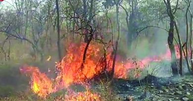 Fire breakes in srisailam forest