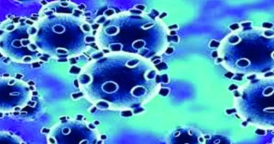 Coronavirus Suspected Cases in AP