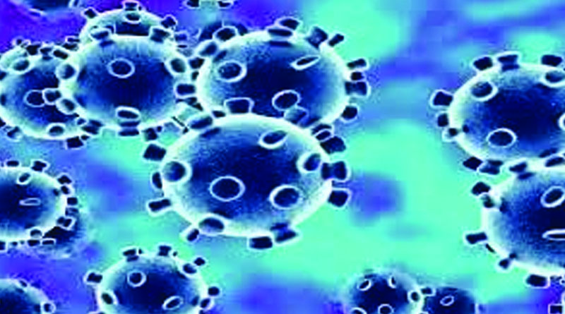 Coronavirus Suspected Cases in AP