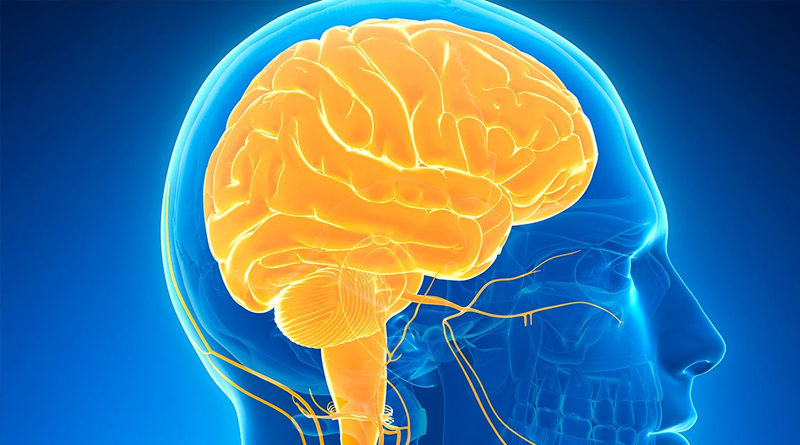 Brain numbness in corona patients