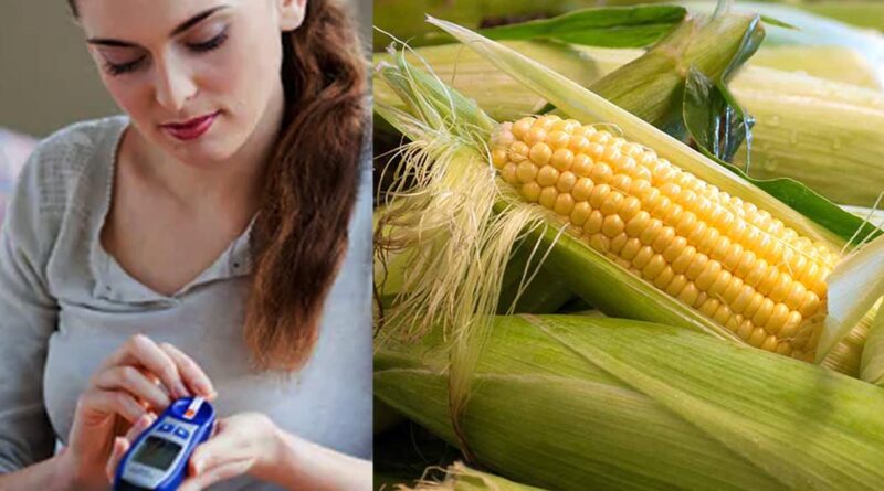 Corn that controls sugar levels