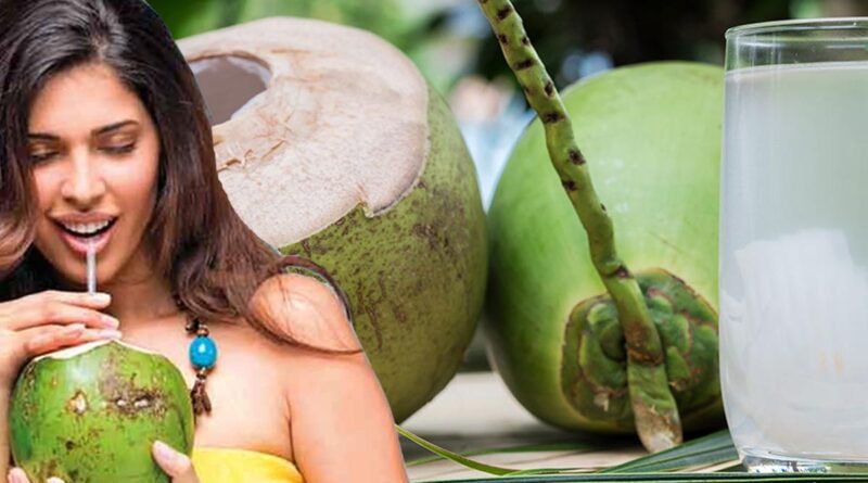 Summer Drink - Coconut Bondam