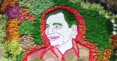 KCR image with flowers and small plants